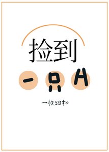 撿到了一隻A